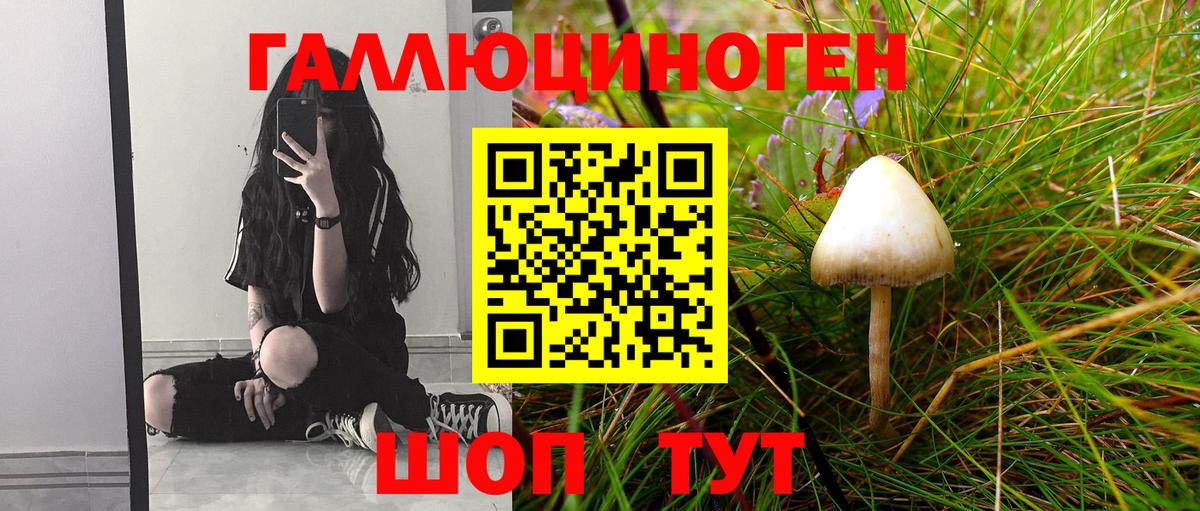 Барабинск  Галлюциногенные грибы Psilocybe  Вход с VPN 